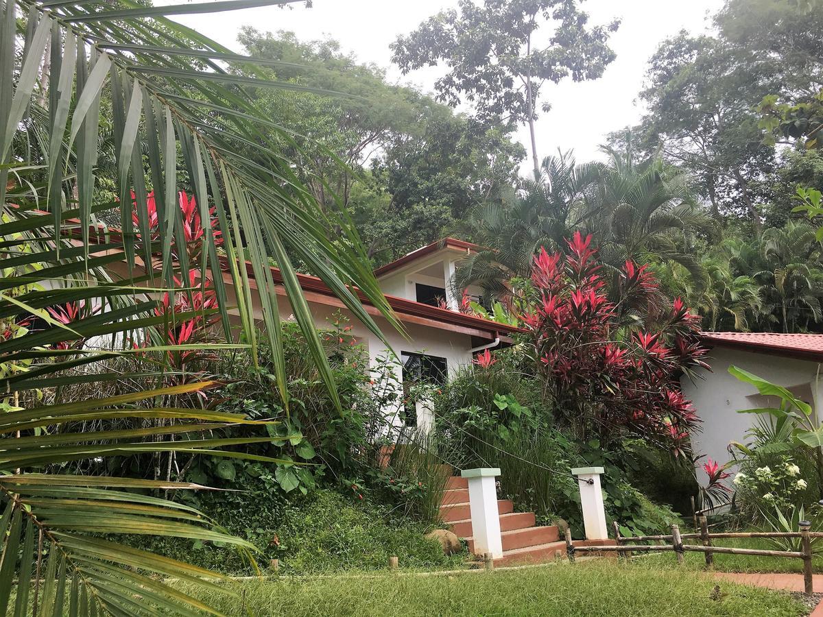 Casa Del Toucan Dominical Εξωτερικό φωτογραφία