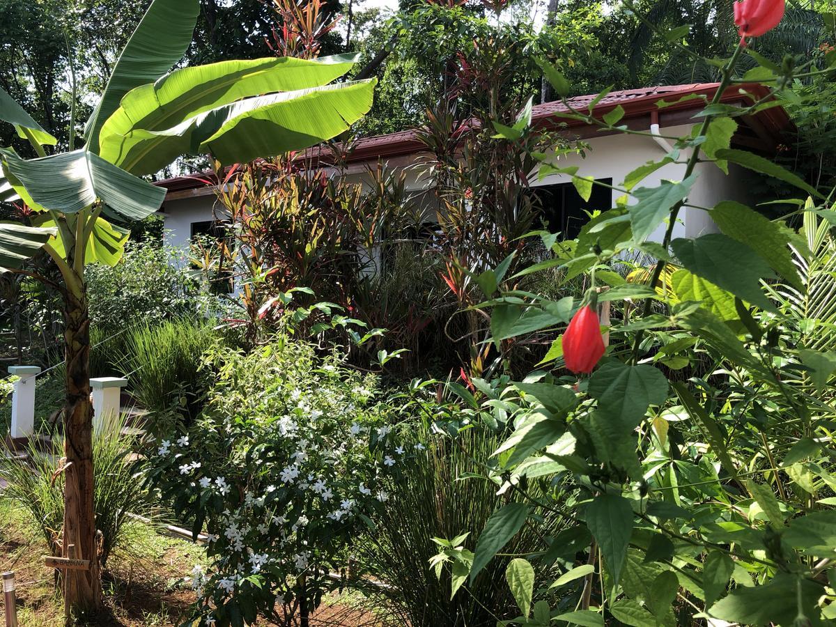 Casa Del Toucan Dominical Εξωτερικό φωτογραφία